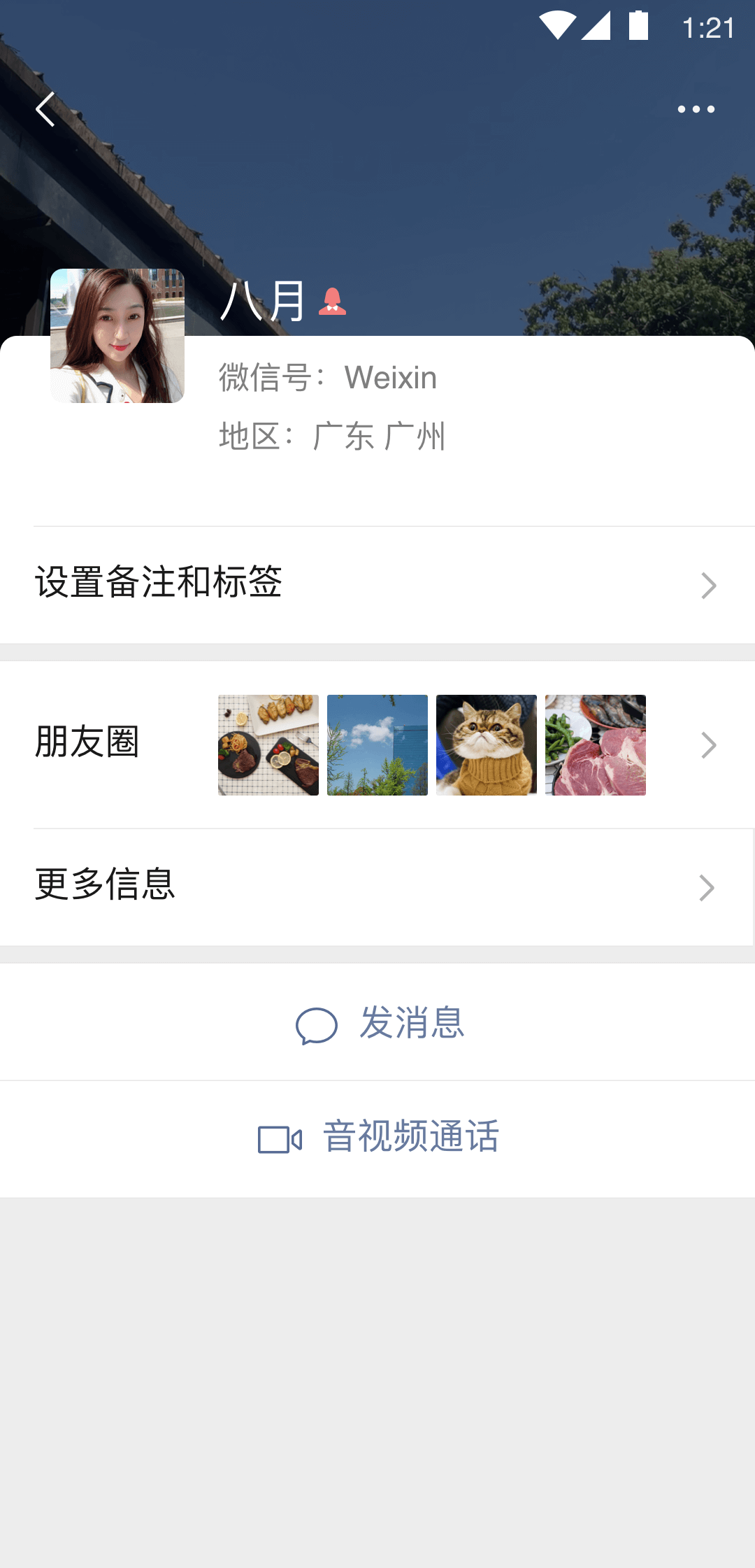 高端猎手在线训狗截图